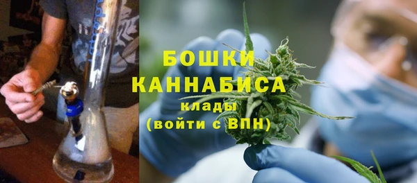 индика Гусь-Хрустальный