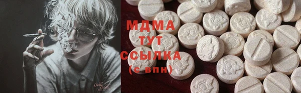 индика Гусь-Хрустальный
