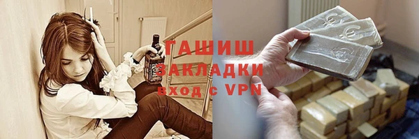индика Гусь-Хрустальный