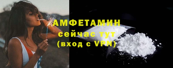 индика Гусь-Хрустальный