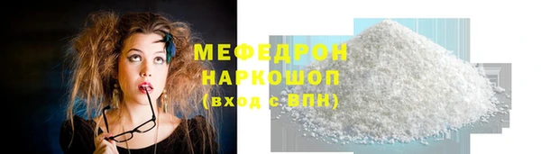 индика Гусь-Хрустальный