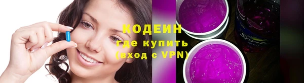 индика Гусь-Хрустальный
