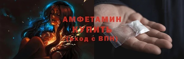 индика Гусь-Хрустальный