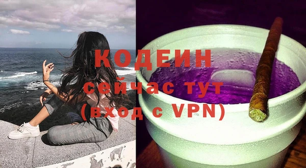 индика Гусь-Хрустальный