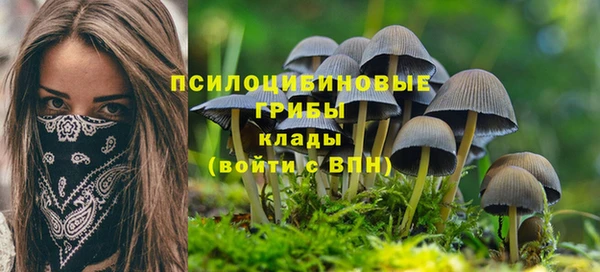 экстази Гусиноозёрск