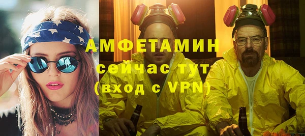 индика Гусь-Хрустальный
