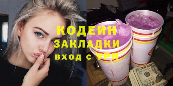 индика Гусь-Хрустальный