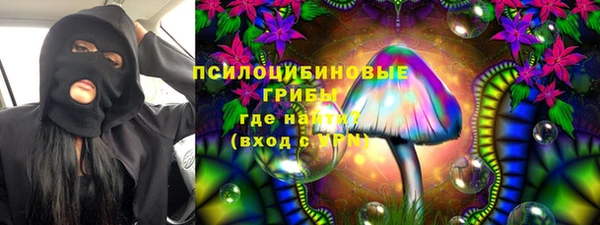 марки nbome Гусев