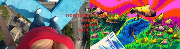 экстази Гусиноозёрск