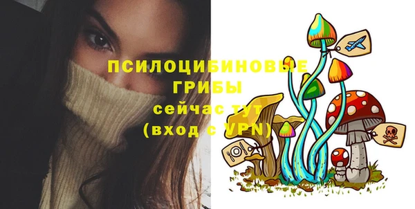 экстази Гусиноозёрск