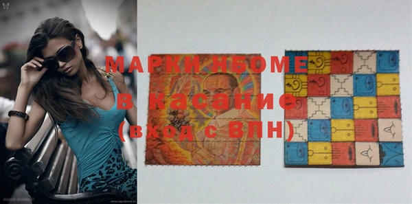 индика Гусь-Хрустальный